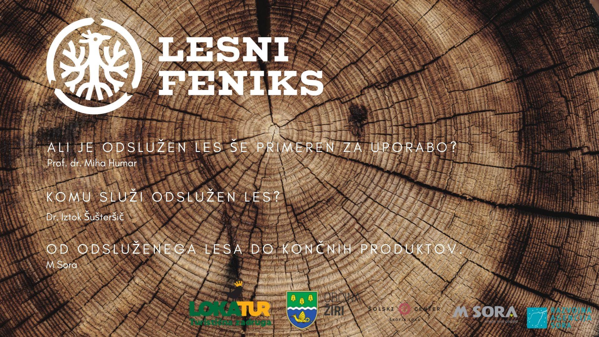 Lesni feniks 21okt2019-2.jpg